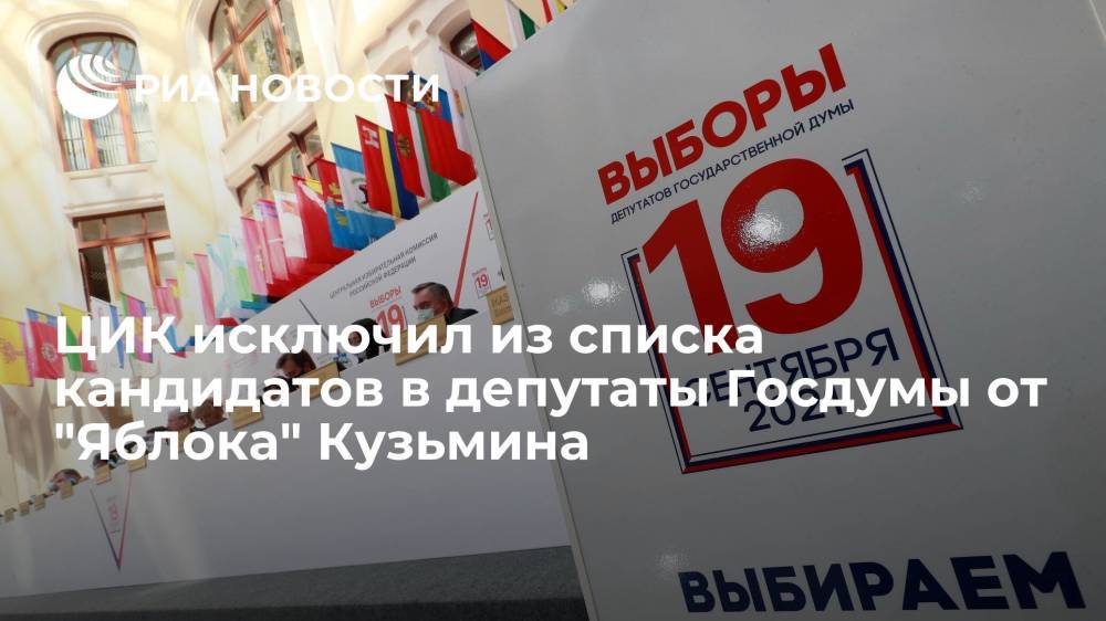 ЦИК исключил из списка кандидатов в депутаты Госдумы от "Яблока" Николая Кузьмина