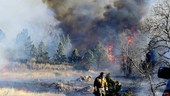 Сильный снегопад обрушился на Колорадо в США после того, как лесные пожары уничтожили сотни домов