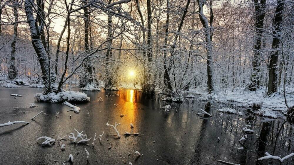 Снег, вероятно, растает: новый год начнется на Луганщине с весенней погоды