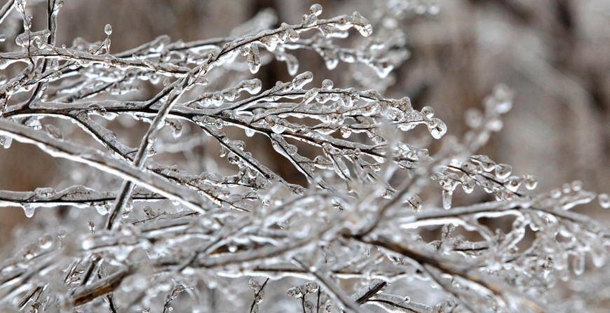 Дождь, мокрый снег и гололедица ожидаются в Беларуси 1 января