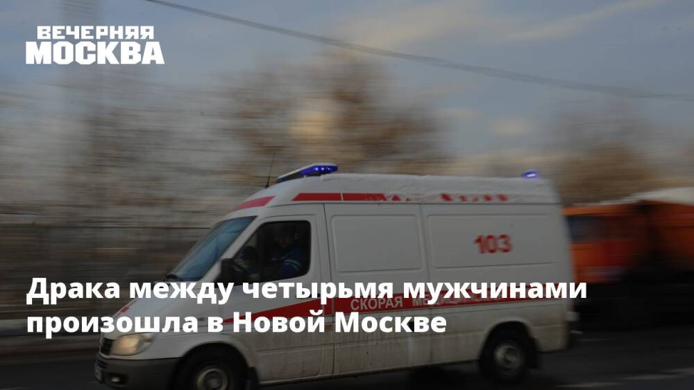 Драка между четырьмя мужчинами произошла в Новой Москве