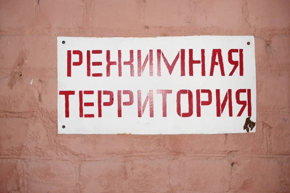Адвокат Аза Алиева: «Моих подзащитных из исправительных колоний Саратовской области, написавших жалобы на беспредел, вывезли в Сибирь и на Дальний Север»