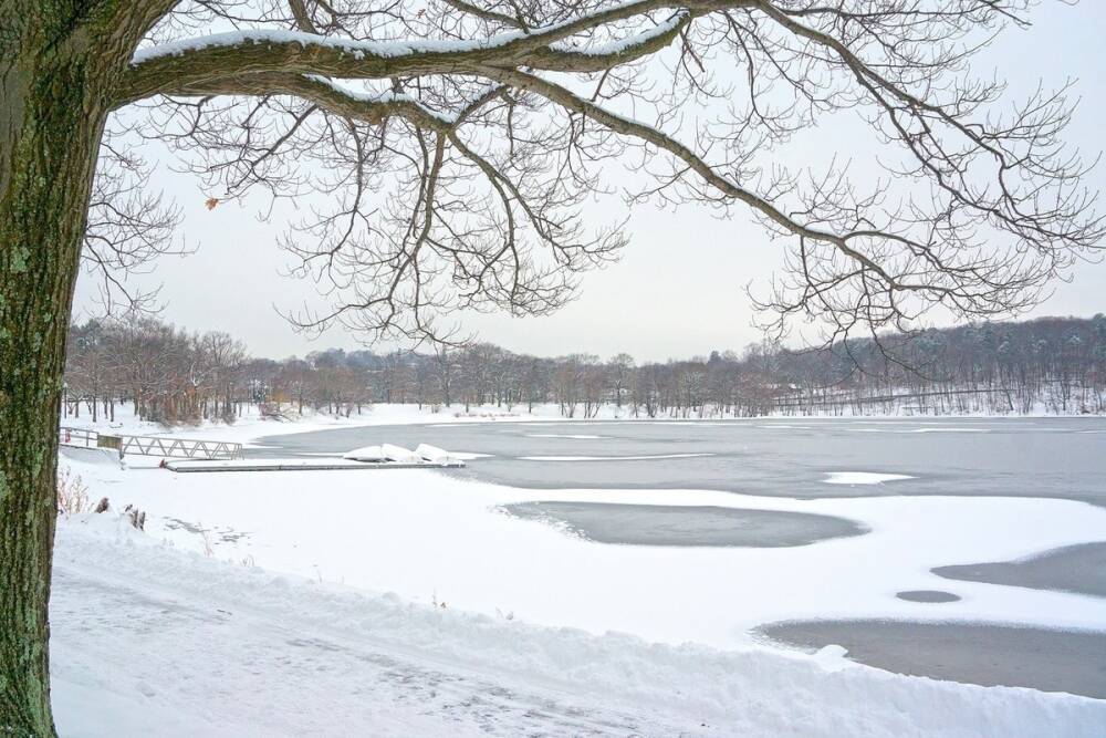 В Центральном парке Тулы провалились под лёд двое детей