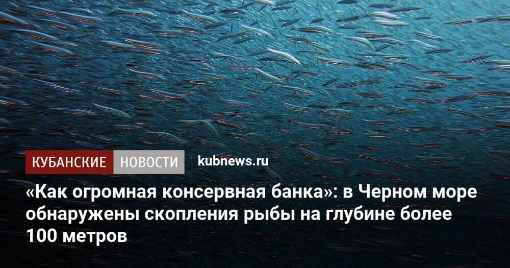«Как огромная консервная банка»: в Черном море обнаружены скопления рыбы на глубине более 100 метров