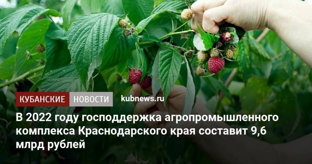 В 2022 году господдержка агропромышленного комплекса Краснодарского края составит 9,6 млрд рублей