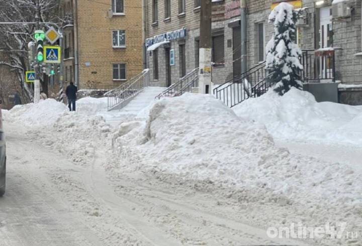 Александр Дрозденко попросил разобраться с плохой уборкой снега в некоторых районах Ленобласти на январских праздниках