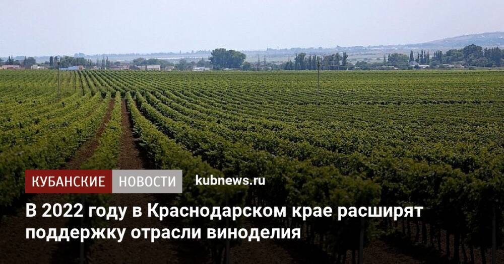 В 2022 году в Краснодарском крае расширят поддержку отрасли виноделия