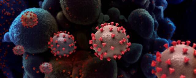 Экс-глава целевой группы по вакцинам Клайв Дикс: К ковиду нужно относиться как к гриппу