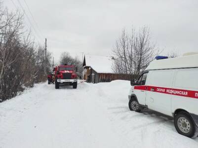 На пожаре в деревне Саркаево Кунгурского округа погиб мужчина