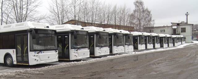Пырлог прокомментировал жалобы кировчан на новые автобусы