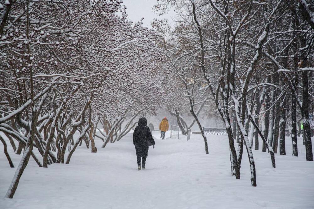 Экстремальные морозы до -34 ожидаются в Новосибирской области