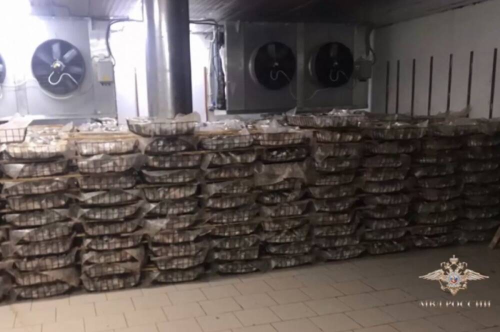 В Ростовской области задержали мужчину за незаконную добычу 75 тонн рыбы