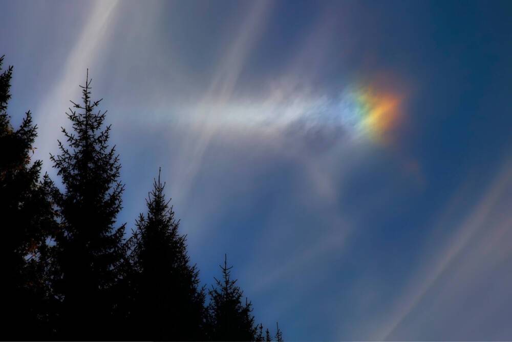 Петербуржцы заметили «солнце с ушами» в небе на Финским заливом