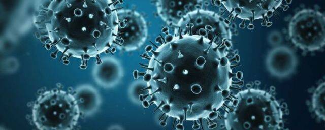 Project Veritas: американская компания занималась изучением коронавирусов перед пандемией