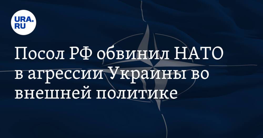 Посол РФ обвинил НАТО в агрессии Украины во внешней политике