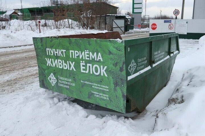 Новогодние елки в Казани можно сдать до конца января в двух пунктах приема