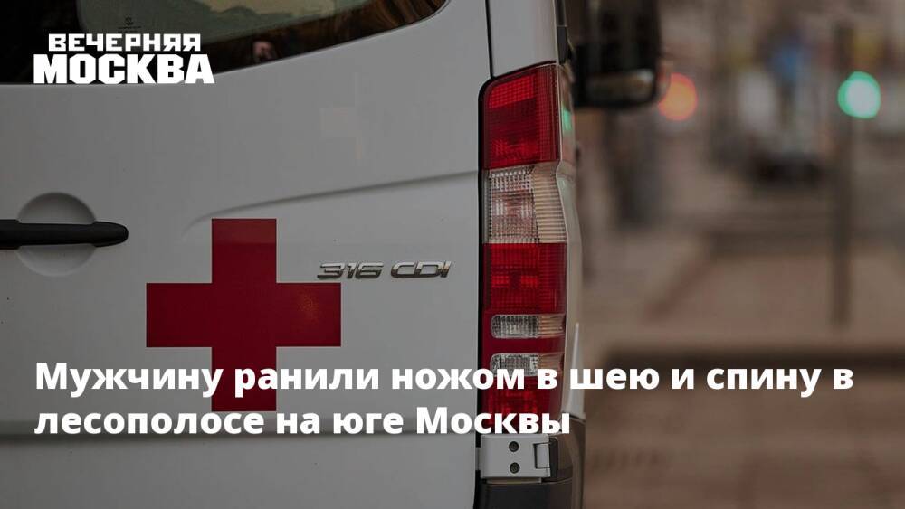 Мужчину ранили ножом в шею и спину в лесополосе на юге Москвы