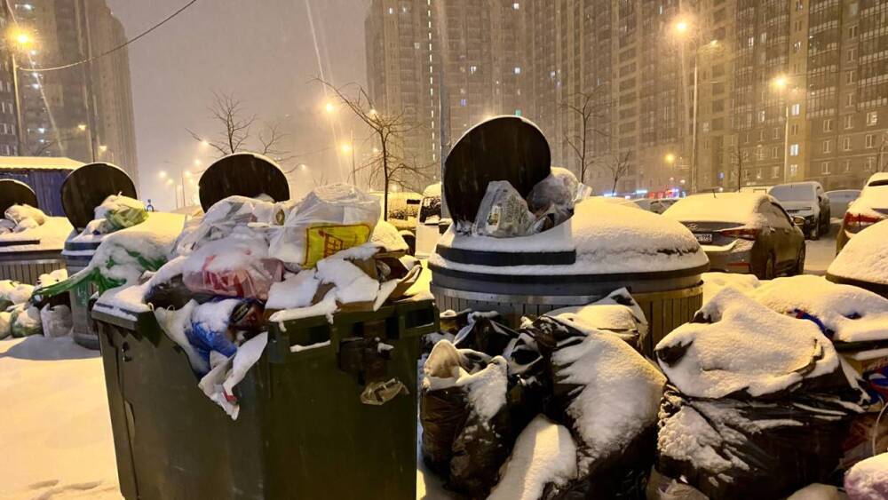 Глава оператора по вывозу отходов в Ленобласти Бучнев раскритиковал мусорную реформу в Петербурге