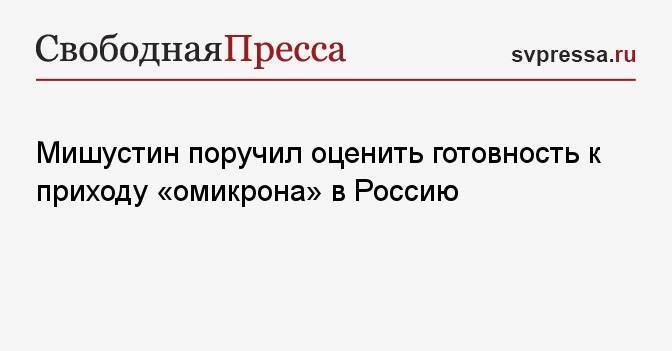 Мишустин поручил оценить готовность к приходу «омикрона» в Россию