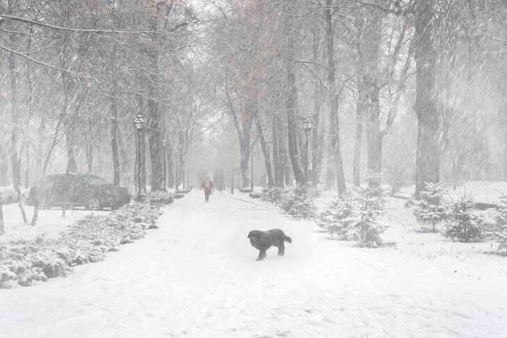 Ветер, метели и снежные заносы: в Украину идет циклон