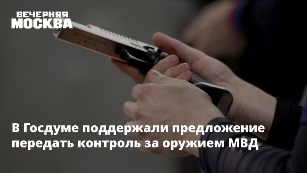 В Госдуме поддержали предложение передать контроль за оружием МВД