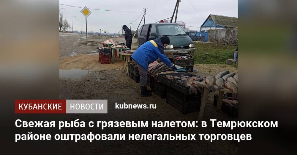Свежая рыба с грязевым налетом: в Темрюкском районе оштрафовали нелегальных торговцев