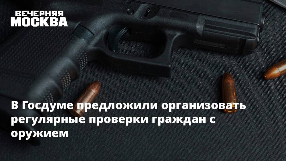 В Госдуме предложили организовать регулярные проверки граждан с оружием