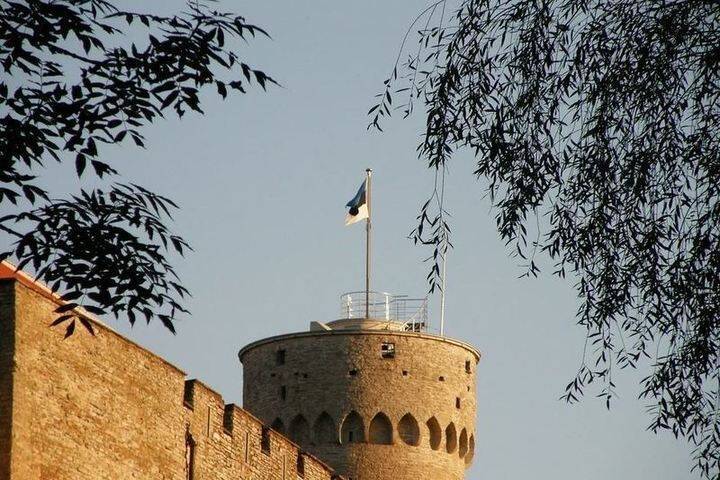 Президент Эстонии назвал расширение НАТО выбором свободных государств