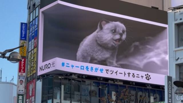 Лучшая реклама на свете: в Токио на здании торгового центра «поселился» 3D-котенок (ВИДЕО)