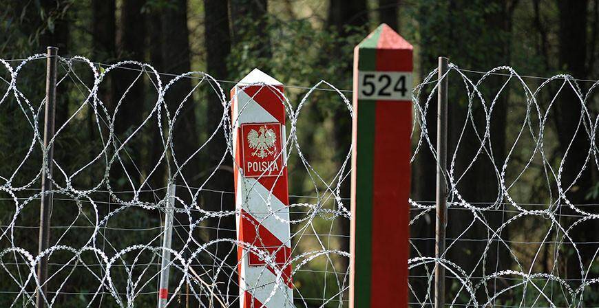 ГПК: польская "колючка" приводит к гибели зубров