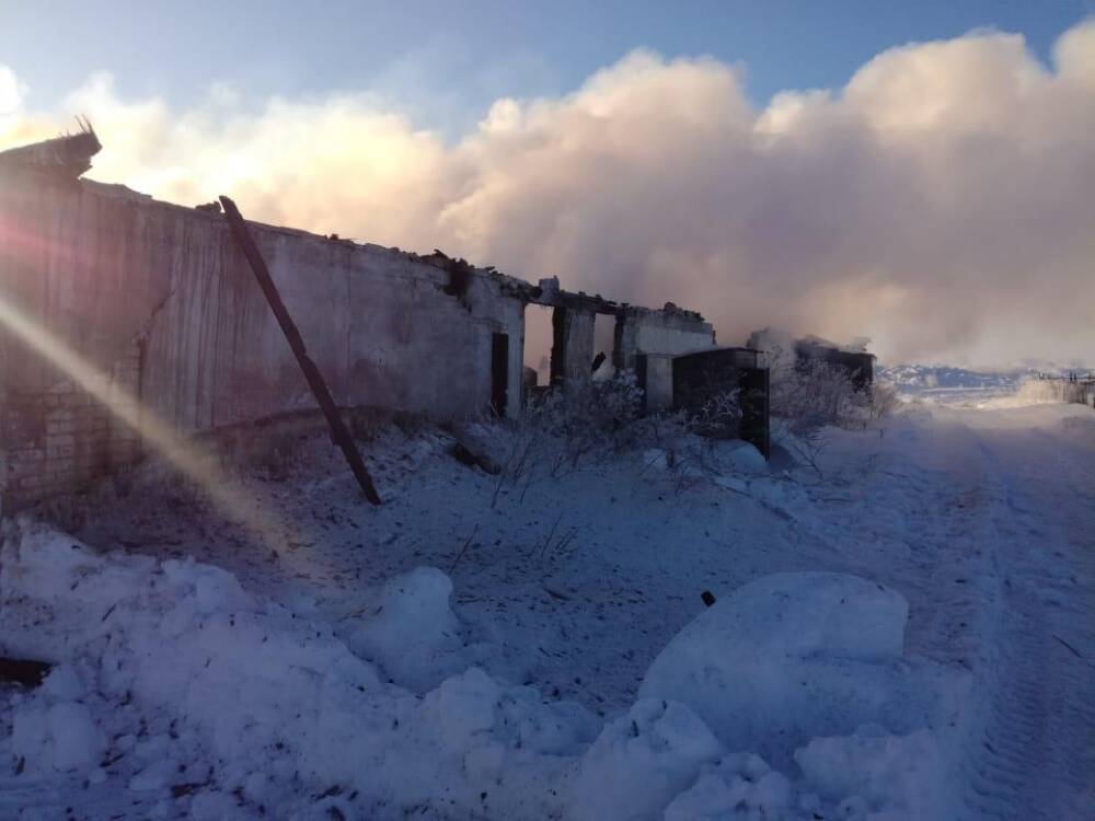 Под Новосибирском в пожаре на ферме погибли 40 телят