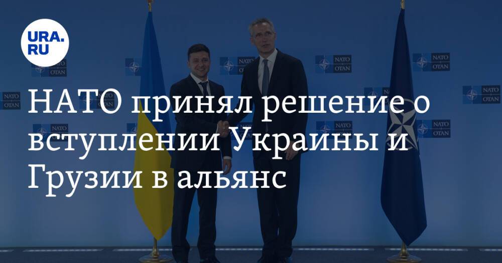 НАТО принял решение о вступлении Украины и Грузии в альянс