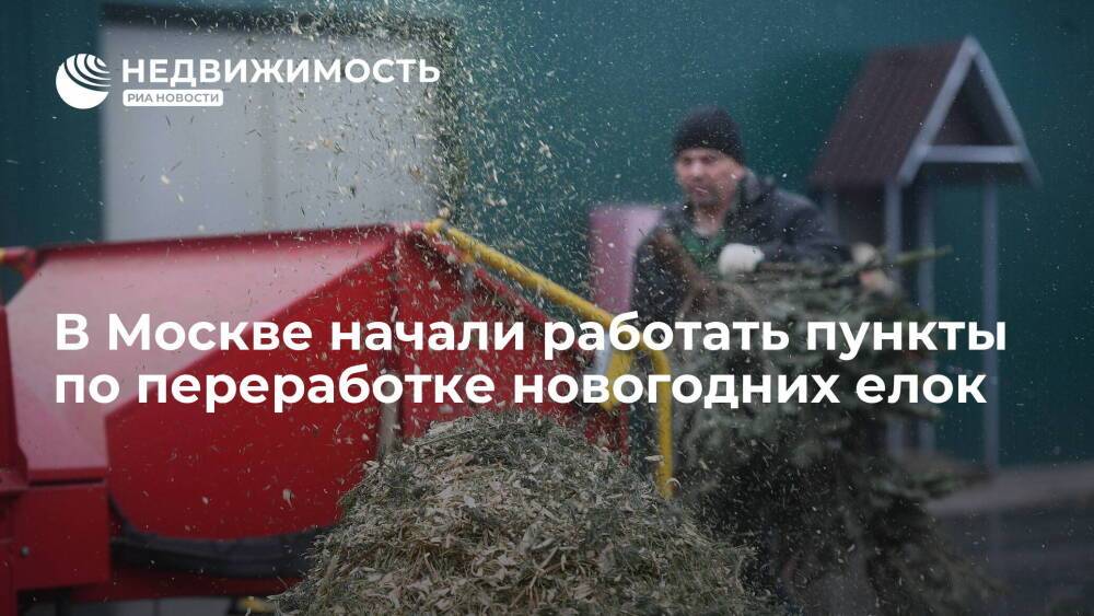 В Москве начали работать пункты по переработке новогодних елок