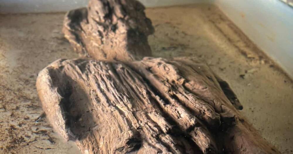 С резной одеждой и прической. В Англии обнаружили необычную римскую деревянную скульптуру (фото)