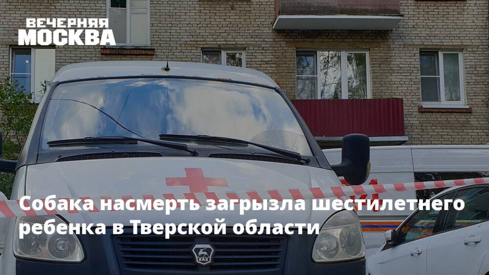 Собака насмерть загрызла шестилетнего ребенка в Тверской области