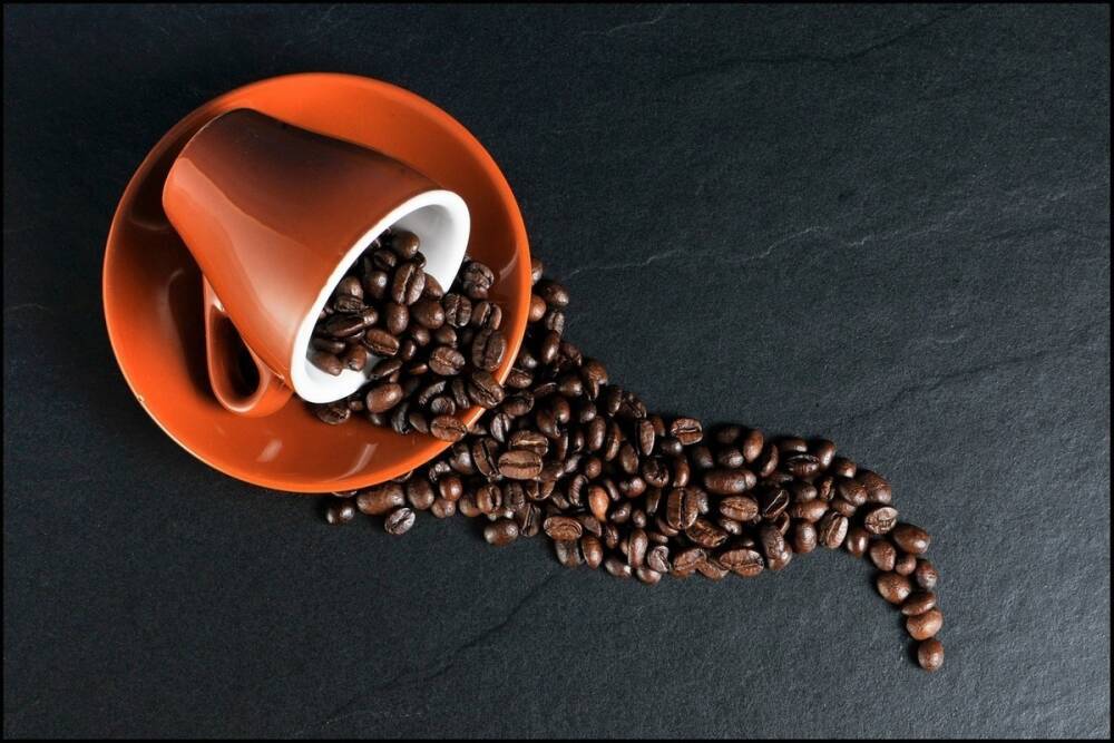 Ученые выяснили, что кофе негативно влияет на мозг