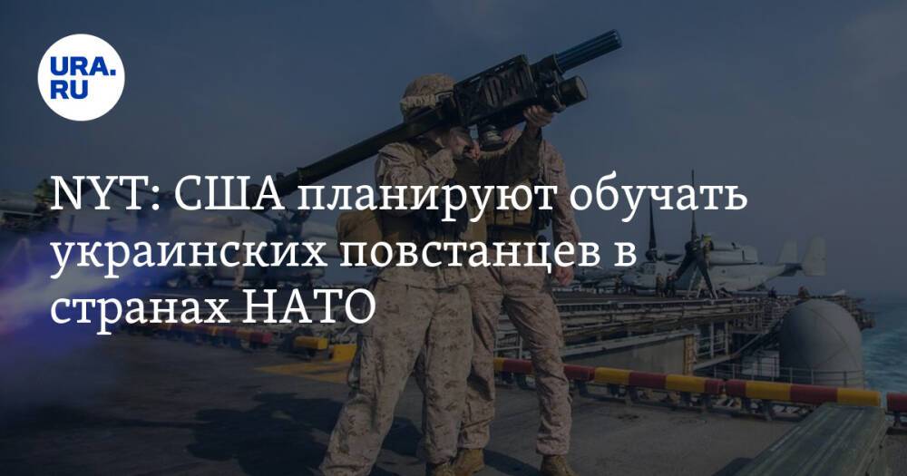 NYT: США планируют обучать украинских повстанцев в странах НАТО