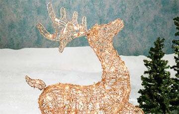 В Дзержинске двое парней «избили» новогоднюю фигуру оленя