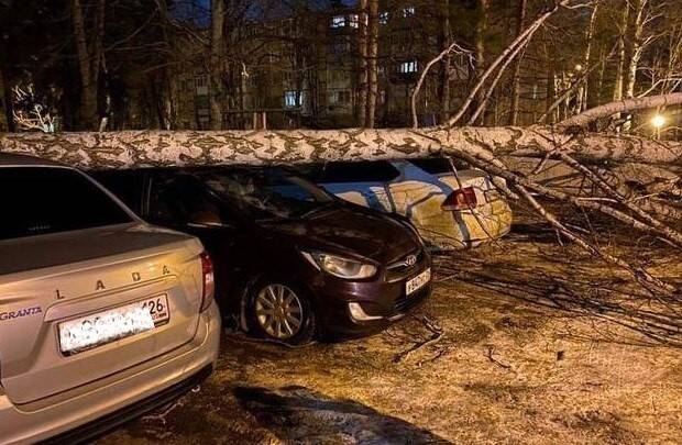 Власти Ставрополья ввели на территории региона режим ЧС из-за урагана
