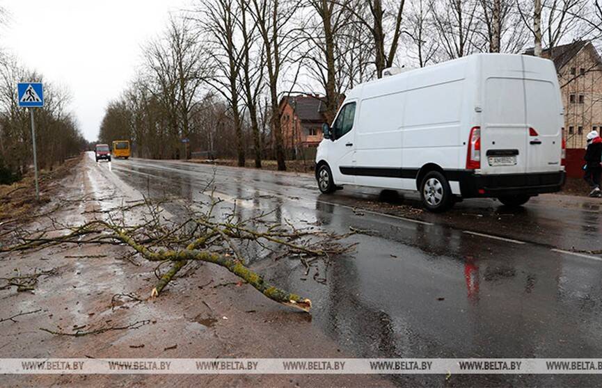 МЧС: из-за урагана в Беларуси пострадали 458 населенных пунктов
