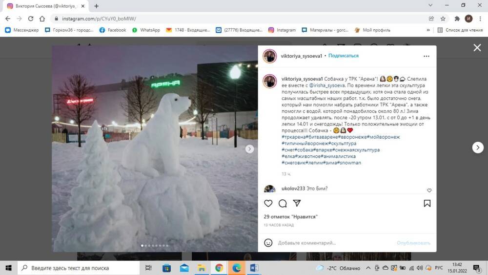 Белого Бима из снега и воды слепили известные в Воронеже сестры Сысоевы
