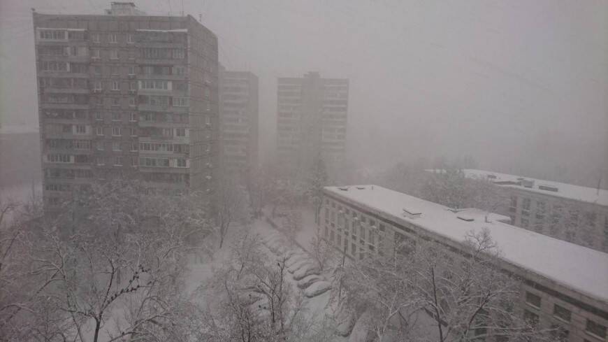В Москве и области объявлен «желтый» уровень погодной опасности