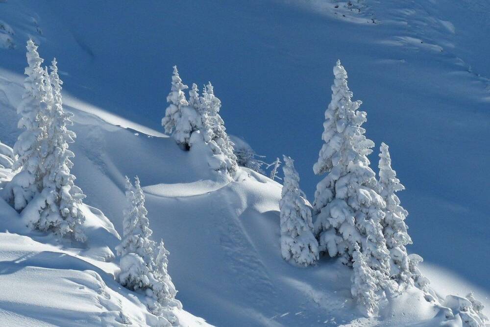 В Сочи на горнолыжном курорте погиб сноубордист