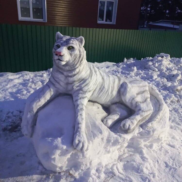 Житель Новоспасского слепил трехметрового Деда Мороза и Снегурочку и превратил их в тигра