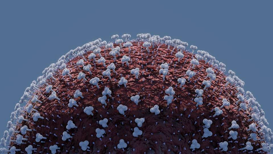 Ученые предупредили о появлении новых опасных штаммов коронавируса и мира