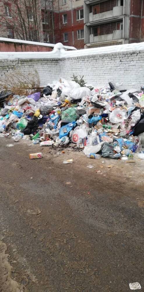 Жители Приморского района жалуются на запах от неубранного возле парадных мусора
