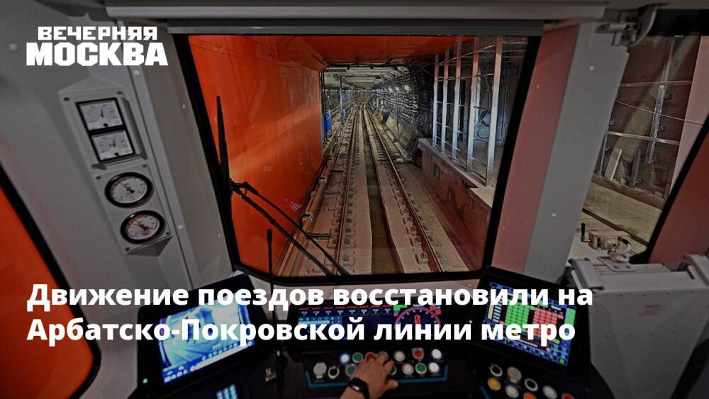 Движение поездов восстановили на Арбатско-Покровской линии метро