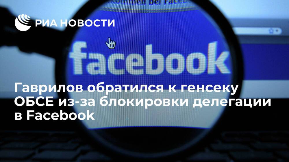 Гаврилов обратился к генсеку ОБСЕ Шмидт из-за блокировки страницы делегации в Facebook