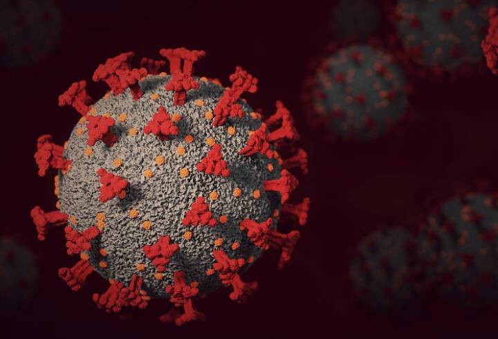 Вирусолог Скулачев: коллективный иммунитет не работает против омикрон-штамма