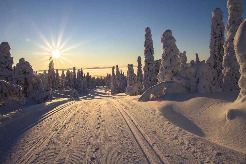 Прокат лыж и финских саней работает в Ясной Поляне